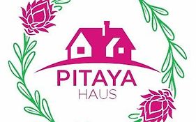Pitaya Haus Lofts